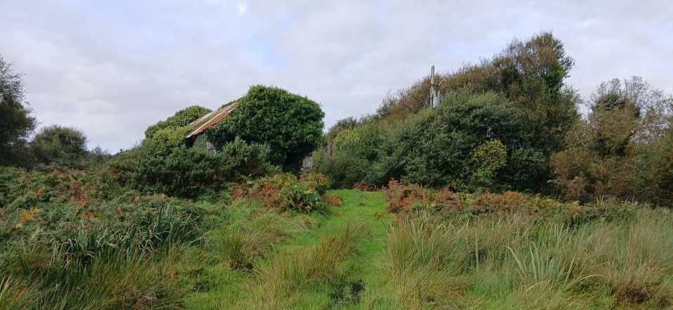             MountainViews.ie picture about Ormond's Island (Oileán Urumhan)            