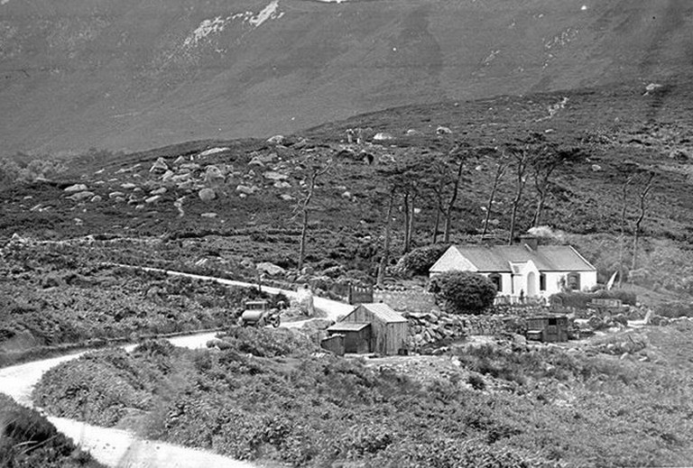 McGuirk's Tea Rooms circa 1928