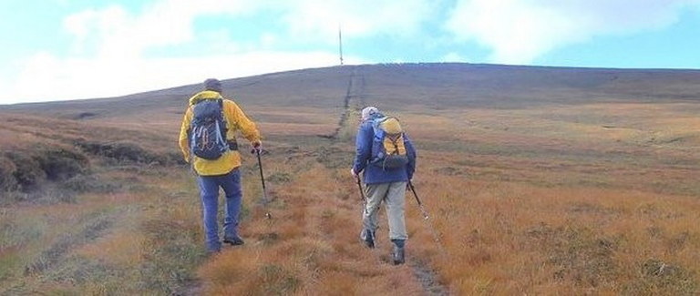 Extensive Blanket Bog at Kippure