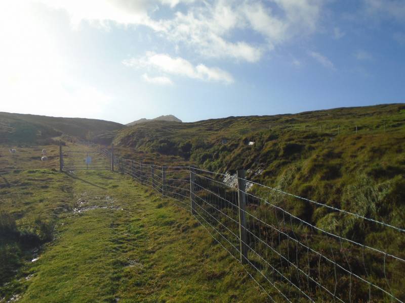 MountainViews.ie picture 1 for track/3915 