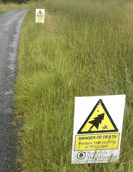 MountainViews.ie picture 1 for track/4457 