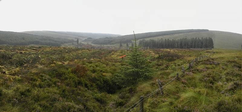 MountainViews.ie picture 3 for track/4457 