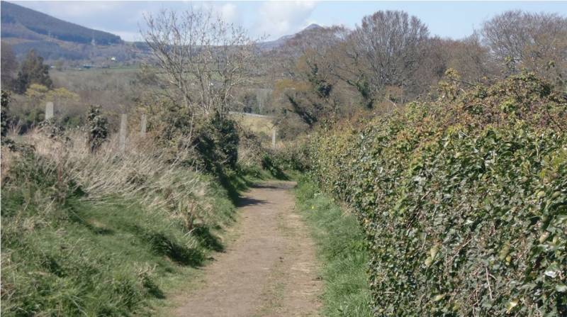 MountainViews.ie picture 2 for track/4474 