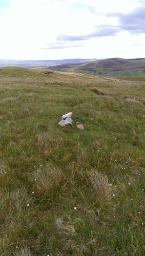             MountainViews.ie picture about Crocknagapple            