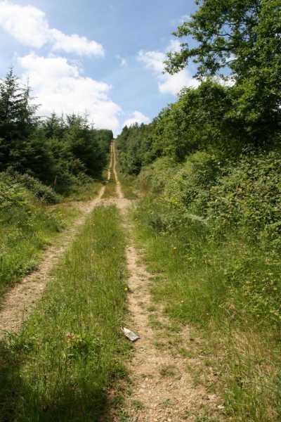             MountainViews.ie picture about Croghan            