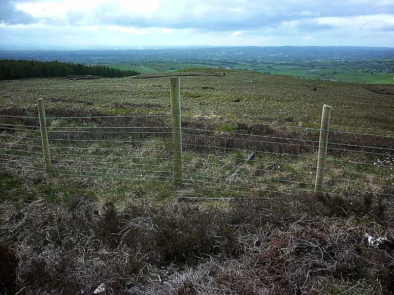             MountainViews.ie picture about Fir Mountain            