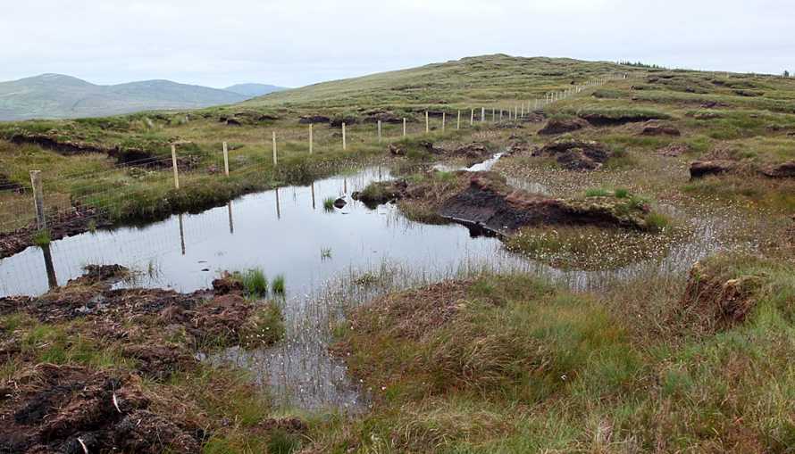             MountainViews.ie picture about Binswilly            