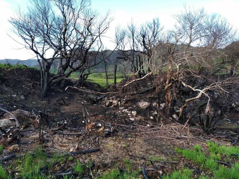             MountainViews.ie picture about Eagles Nest (Nead an Iolair)            