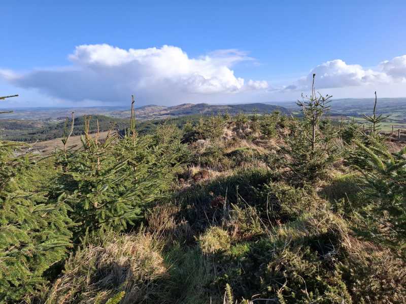             MountainViews.ie picture about Pookeen North Top            