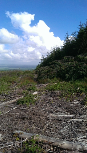             MountainViews.ie picture about Knockmannon Hill            