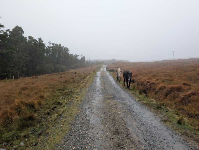             MountainViews.ie picture about Cregg            