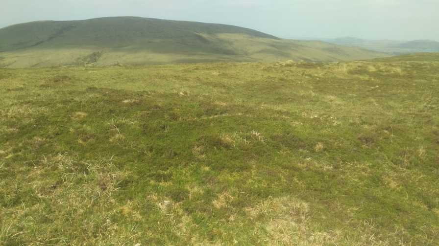             MountainViews.ie picture about Sheean            