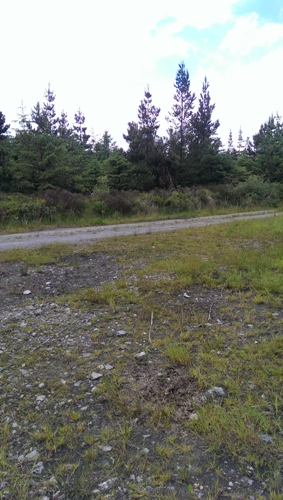             MountainViews.ie picture about Coolnahau Hill            