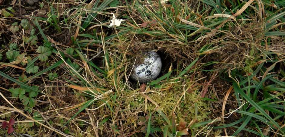             MountainViews.ie picture about Long Mountain            