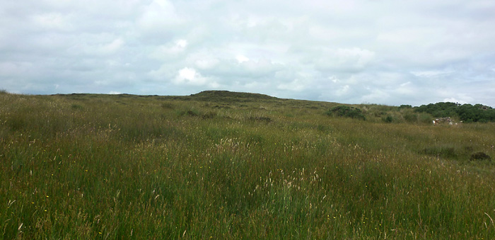             MountainViews.ie picture about Long Mountain            