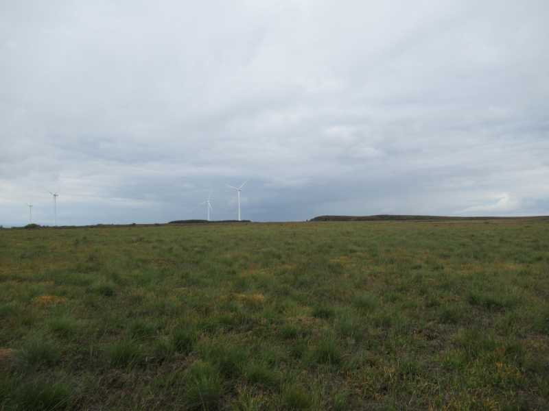             MountainViews.ie picture about Long Mountain            