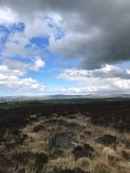             MountainViews.ie picture about Long Mountain            