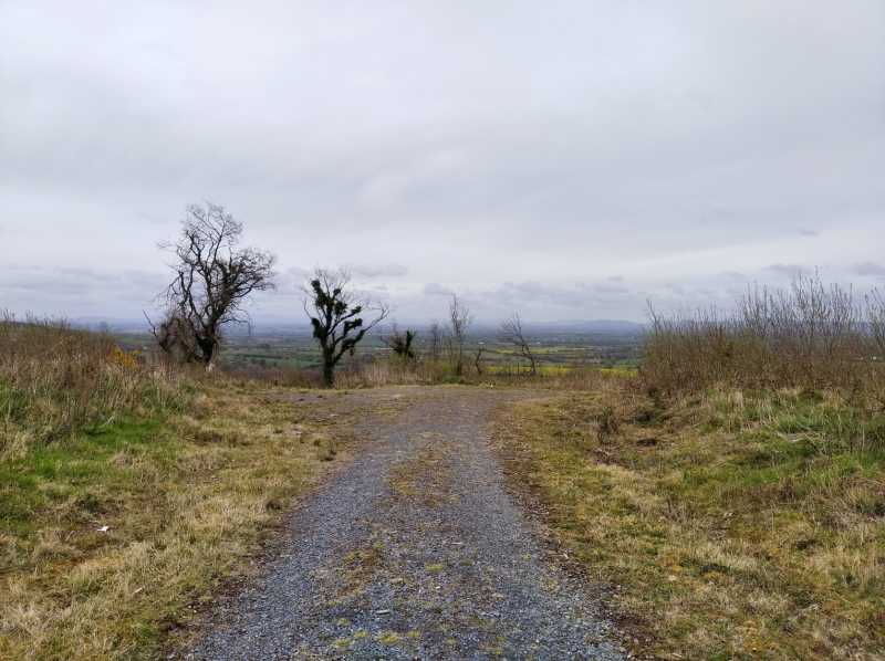             MountainViews.ie picture about Newtown Hill            