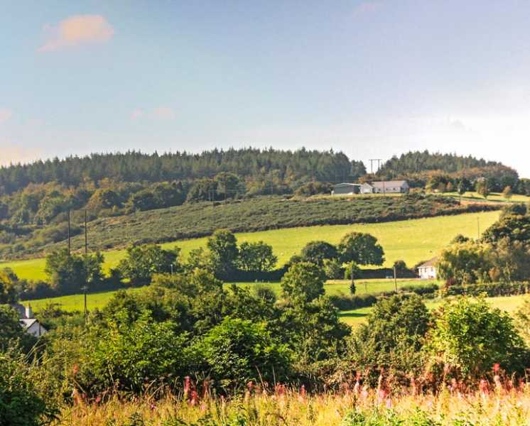             MountainViews.ie picture about Newtown Hill            