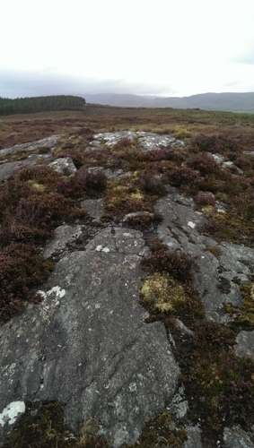             MountainViews.ie picture about Gortnadrehy            