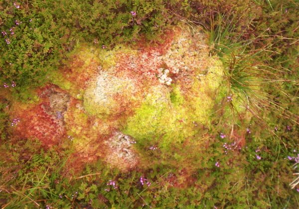             MountainViews.ie picture about Colly (An Bheann Mhór)            