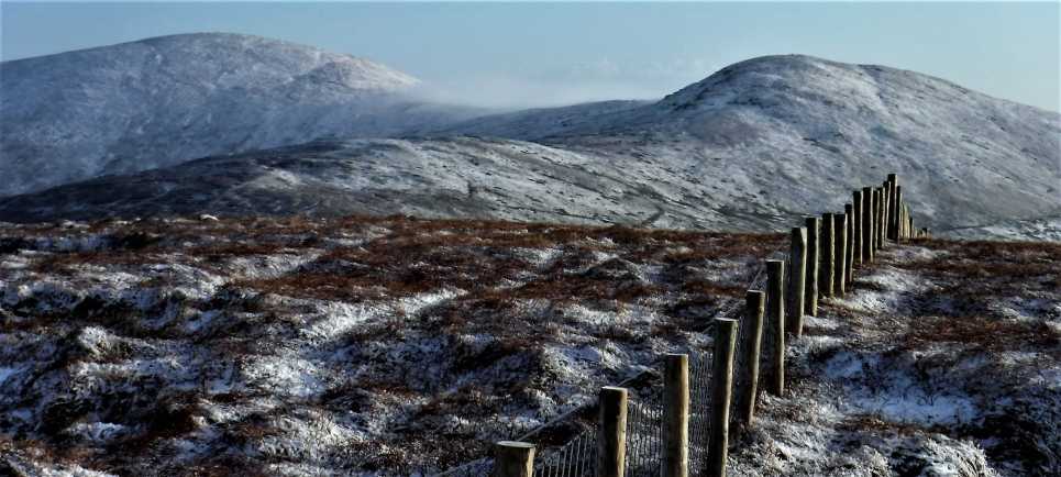             MountainViews.ie picture about Mullaghdoo            