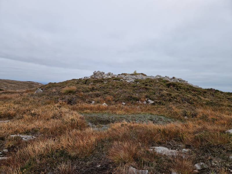             MountainViews.ie picture about Slieve Dargan (Sliabh Deargáin)            