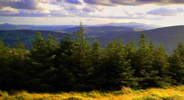             MountainViews.ie picture about Croaghanmoira (Cruachán Mhaigh Rath)            