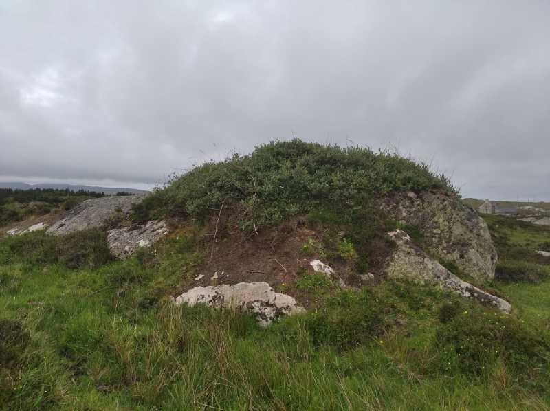             MountainViews.ie picture about Iniscoo (Inis Cù)            
