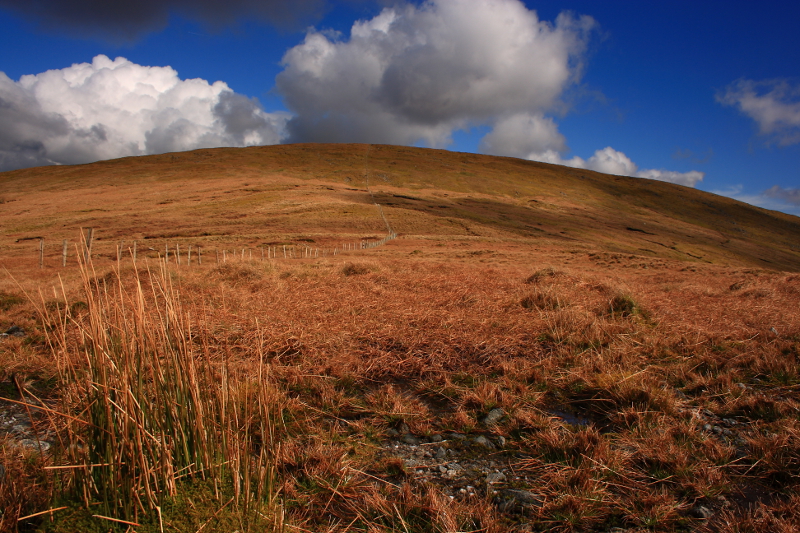             MountainViews.ie picture about Mullaghclogha (Mullach Clocha)            