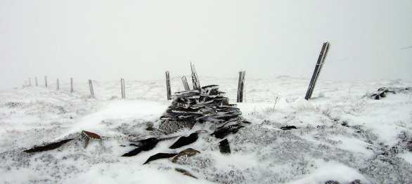             MountainViews.ie picture about Boughil (Buachaill Finnleithid)            