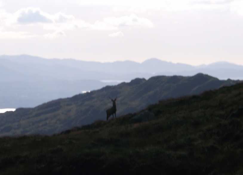             MountainViews.ie picture about Knockrower (Cnoc Ramhar)            