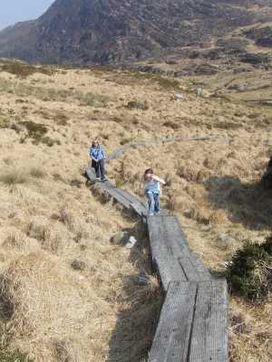            MountainViews.ie picture about Torc Mountain (Sliabh Torc)            