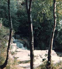             MountainViews.ie picture about Arderin (Ard Éireann)            