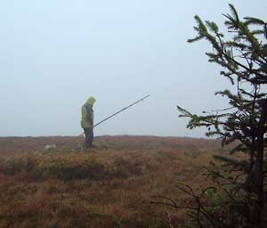             MountainViews.ie picture about Arderin (Ard Éireann)            