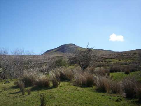             MountainViews.ie picture about Arroo Mountain (Sliabh Aradh)            