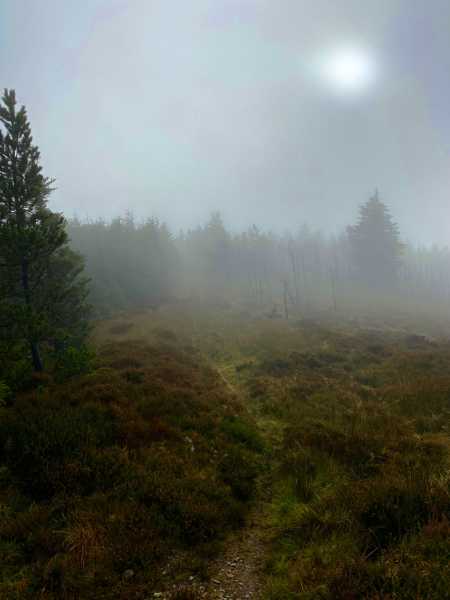             MountainViews.ie picture about Silvermine Mountains West Top (Sliabh an Airgid (mullach thiar))            