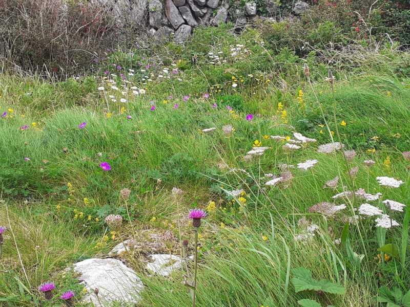             MountainViews.ie picture about Lehid (Leithead)            