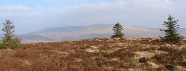             MountainViews.ie picture about Crenville            