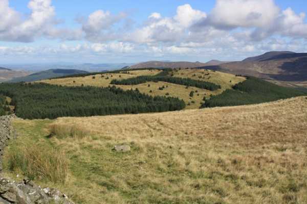             MountainViews.ie picture about Crenville            