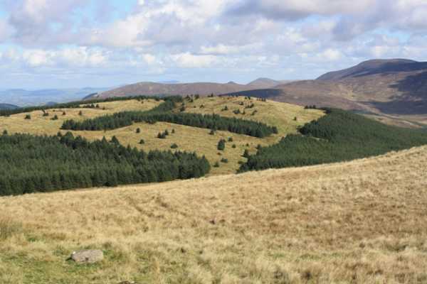             MountainViews.ie picture about Crenville            