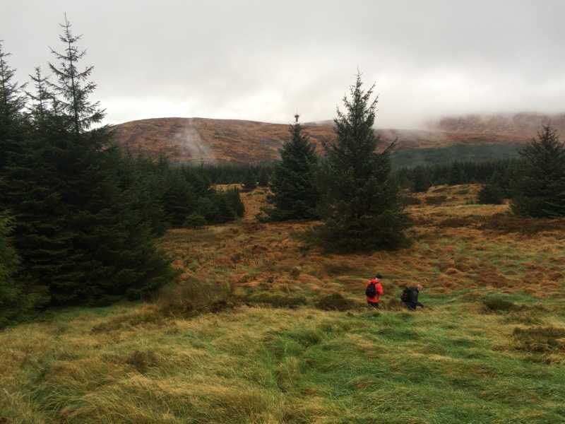             MountainViews.ie picture about Crenville            