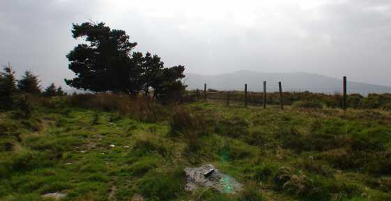             MountainViews.ie picture about Moneyteige North            