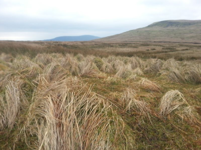             MountainViews.ie picture about Coolnasillagh Mountain (Sliabh Chúil na Saileach)            