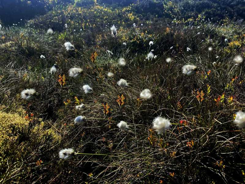             MountainViews.ie picture about Knockacummer (Cnoc an Chomair)            