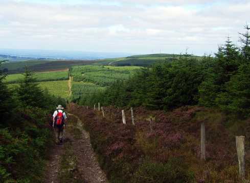             MountainViews.ie picture about Corran (An Carn)            