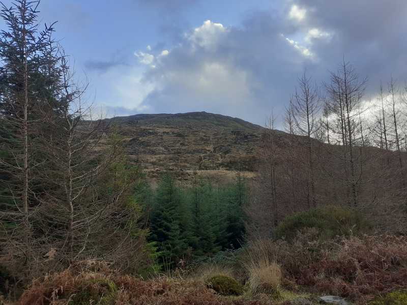             MountainViews.ie picture about Esknabrock (Eisc na mBroc)            