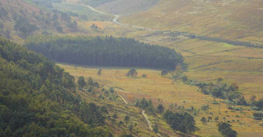             MountainViews.ie picture about Rocky Mountain (Sliabh na gCloch)            
