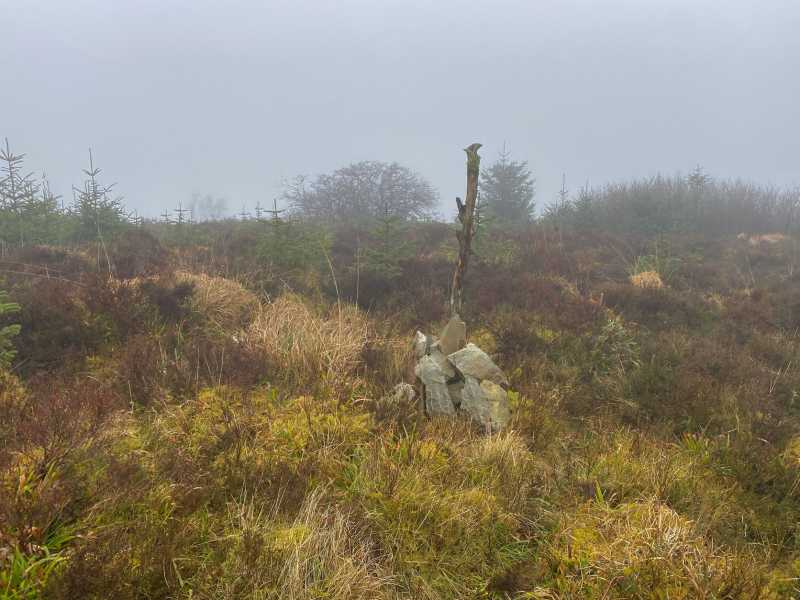             MountainViews.ie picture about Commaun Beg            