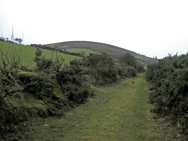             MountainViews.ie picture about Muskeagh Hill (Tinahely Hill)            